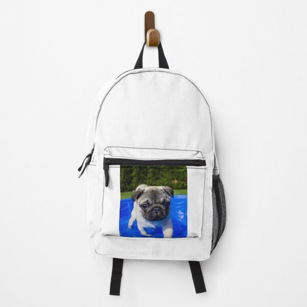 Item preview, Kawaii Pug Puppy Taking a Bath designed and sold by VanGaldo.