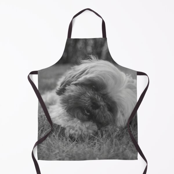 Item preview, Black And White Shih Tzu Puppy Photo designed and sold by TheAnimalZ00.