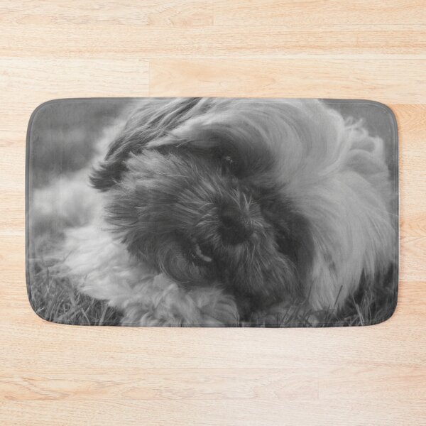 Item preview, Black And White Shih Tzu Puppy Photo designed and sold by TheAnimalZ00.