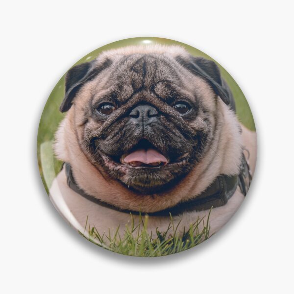 Item preview, Pug Dog Lying on Green Grass designed and sold by VanGaldo.