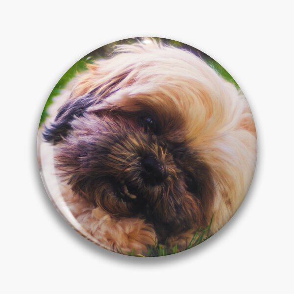 Item preview, Cute Shih Tzu Puppy Photo designed and sold by TheAnimalZ00.