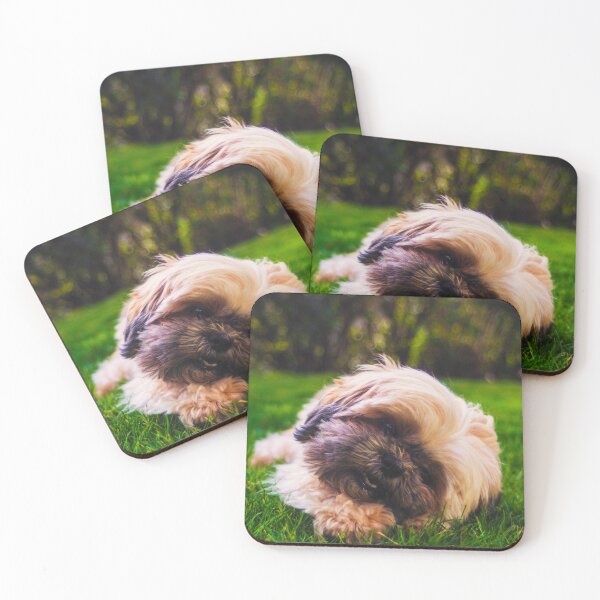 Item preview, Cute Shih Tzu Puppy Photo designed and sold by TheAnimalZ00.