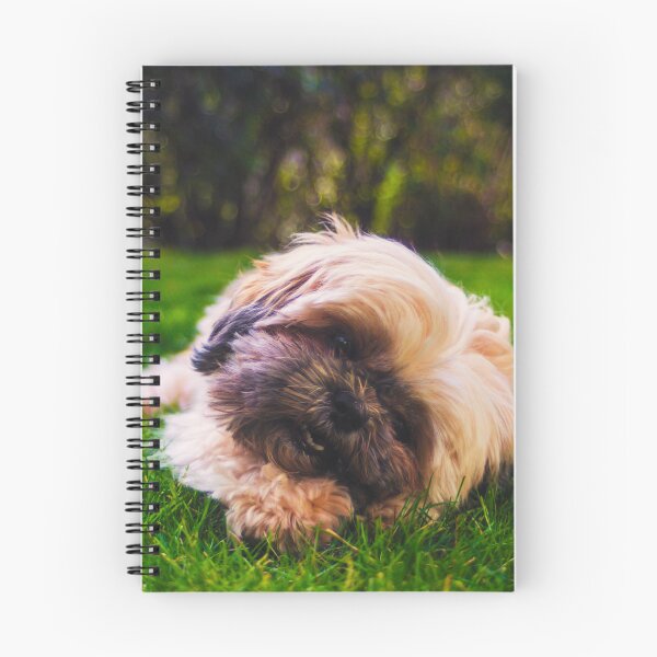 Item preview, Cute Shih Tzu Puppy Photo designed and sold by TheAnimalZ00.