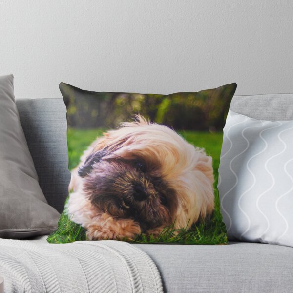 Item preview, Cute Shih Tzu Puppy Photo designed and sold by TheAnimalZ00.