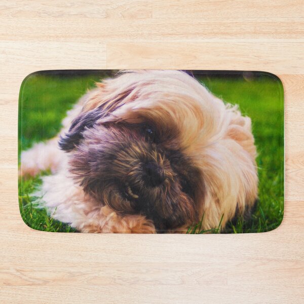 Item preview, Cute Shih Tzu Puppy Photo designed and sold by TheAnimalZ00.