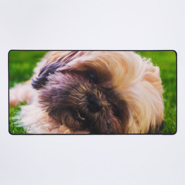 Item preview, Cute Shih Tzu Puppy Photo designed and sold by TheAnimalZ00.