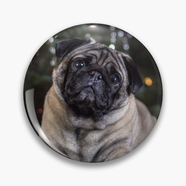Item preview, Head Tilting Pug Dog designed and sold by VanGaldo.