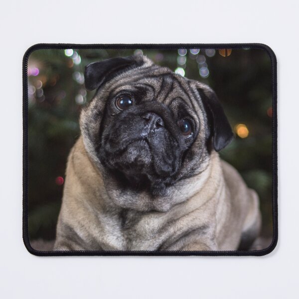 Item preview, Head Tilting Pug Dog designed and sold by VanGaldo.