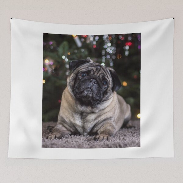 Item preview, Head Tilting Pug Dog designed and sold by VanGaldo.