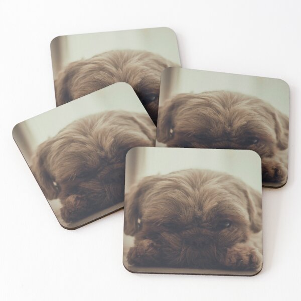 Item preview, Cute Shih Tzu Face designed and sold by TheAnimalZ00.