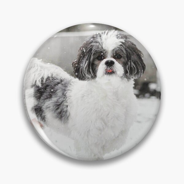 Item preview, Black And White Shih Tzu Dog In Snow designed and sold by TheAnimalZ00.