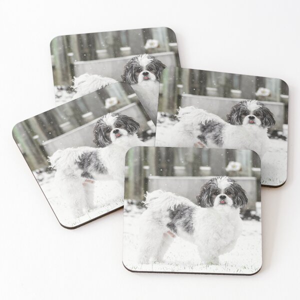 Item preview, Black And White Shih Tzu Dog In Snow designed and sold by TheAnimalZ00.