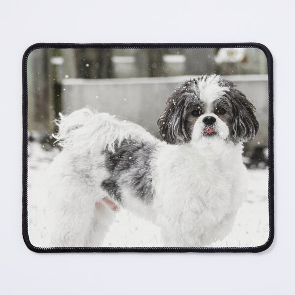 Item preview, Black And White Shih Tzu Dog In Snow designed and sold by TheAnimalZ00.