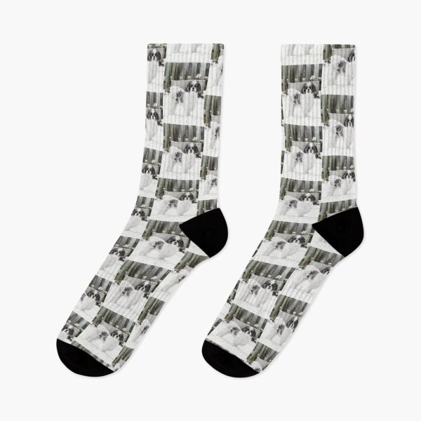 Item preview, Black And White Shih Tzu Dog In Snow designed and sold by TheAnimalZ00.