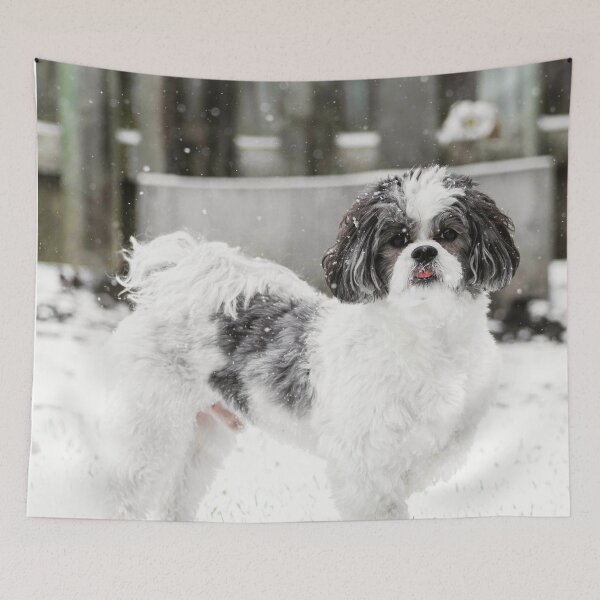 Item preview, Black And White Shih Tzu Dog In Snow designed and sold by TheAnimalZ00.