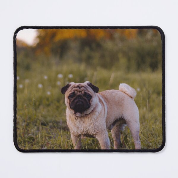 Item preview, Charming Pug Dog designed and sold by VanGaldo.