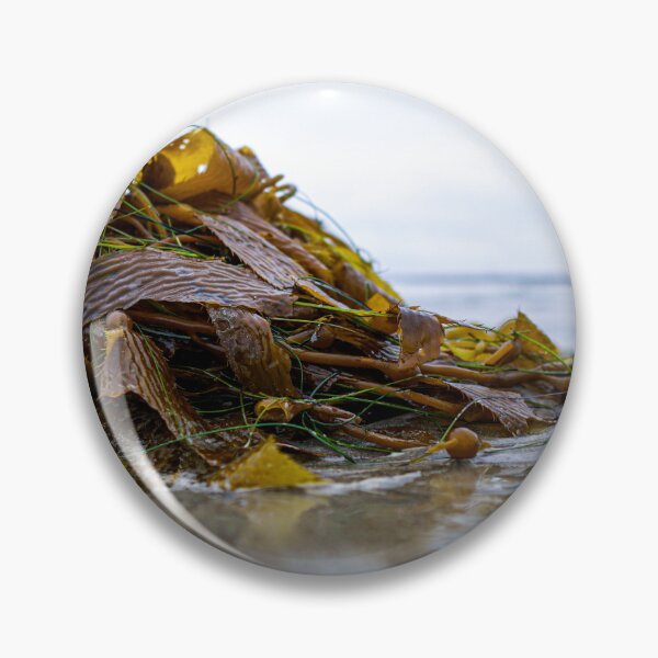 Item preview, Beached Kelp  designed and sold by dahoodscientist.