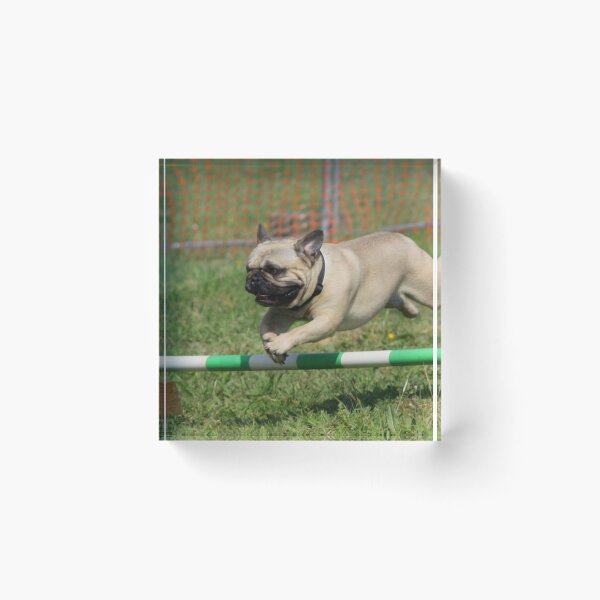 Item preview, Jumping Pug Dog designed and sold by VanGaldo.
