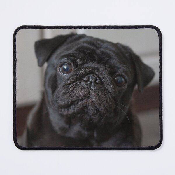 Item preview, Beautiful Pug Dog designed and sold by VanGaldo.