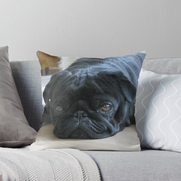 Item preview, Black Pug Dog Lying on the Floor designed and sold by VanGaldo.