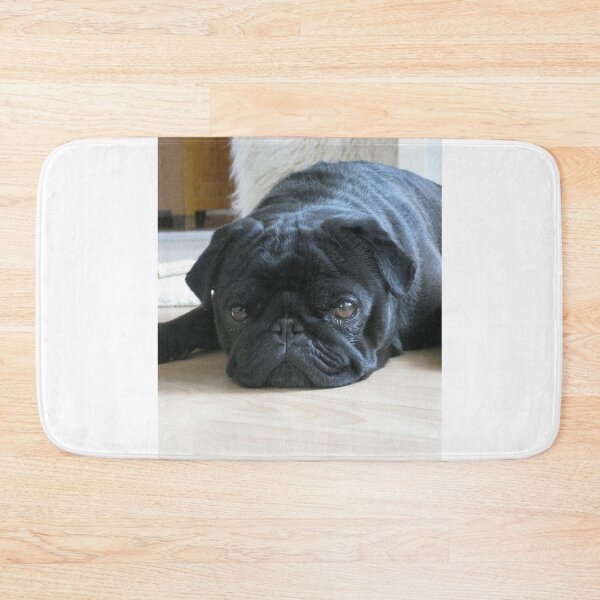 Item preview, Black Pug Dog Lying on the Floor designed and sold by VanGaldo.