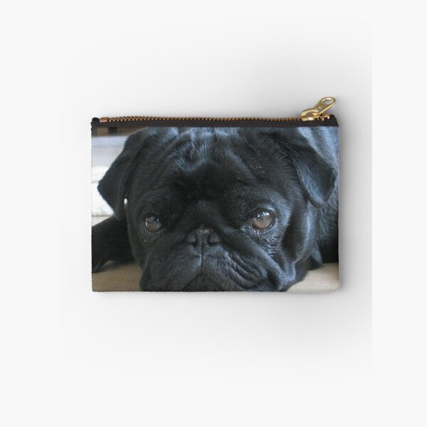 Item preview, Black Pug Dog Lying on the Floor designed and sold by VanGaldo.
