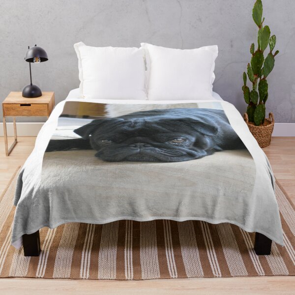 Item preview, Black Pug Dog Lying on the Floor designed and sold by VanGaldo.
