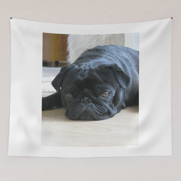 Item preview, Black Pug Dog Lying on the Floor designed and sold by VanGaldo.