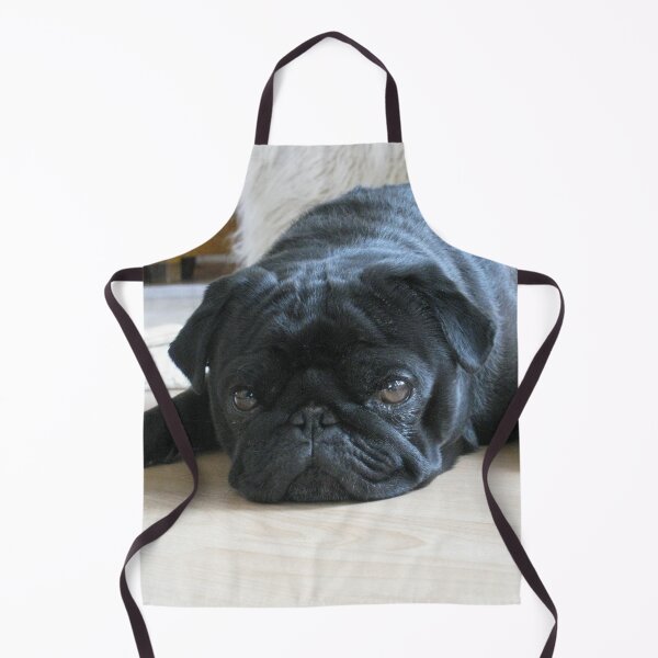 Item preview, Black Pug Dog Lying on the Floor designed and sold by VanGaldo.