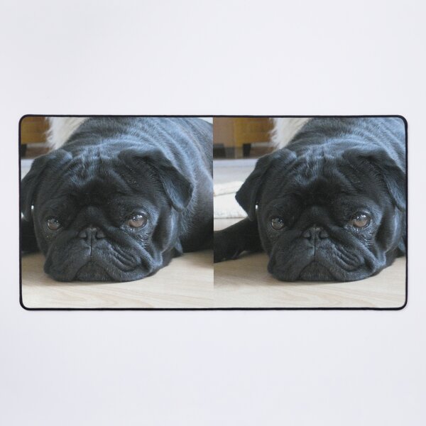Item preview, Black Pug Dog Lying on the Floor designed and sold by VanGaldo.