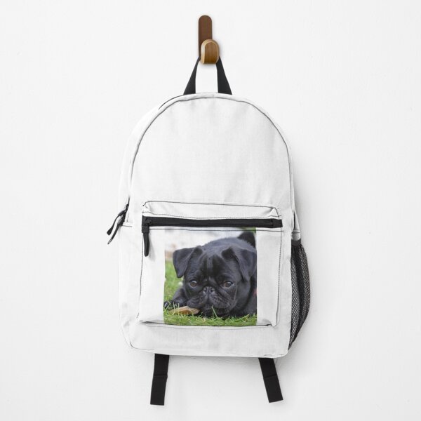 Item preview, Black Pug Puppy Eating  designed and sold by VanGaldo.