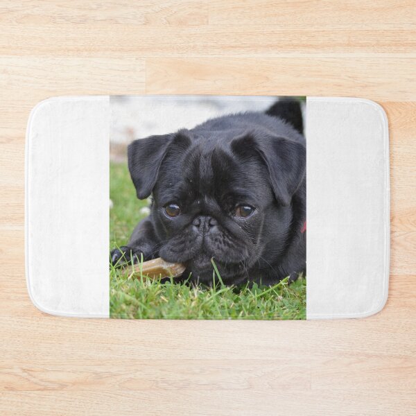 Item preview, Black Pug Puppy Eating  designed and sold by VanGaldo.