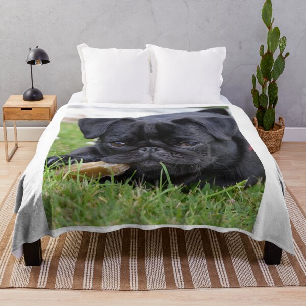 Item preview, Black Pug Puppy Eating  designed and sold by VanGaldo.