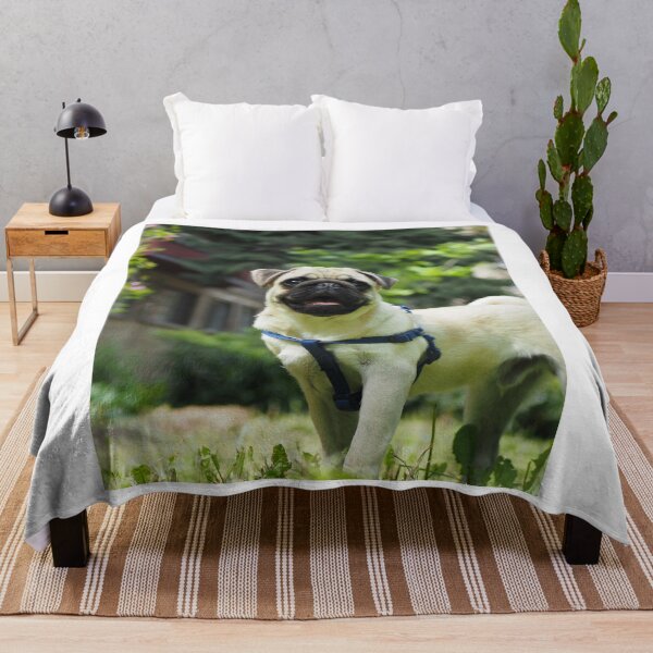 Item preview, Adorable Pug Dog designed and sold by VanGaldo.