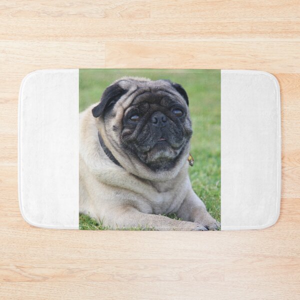 Item preview, Mature Pug Dog Relaxing  designed and sold by VanGaldo.