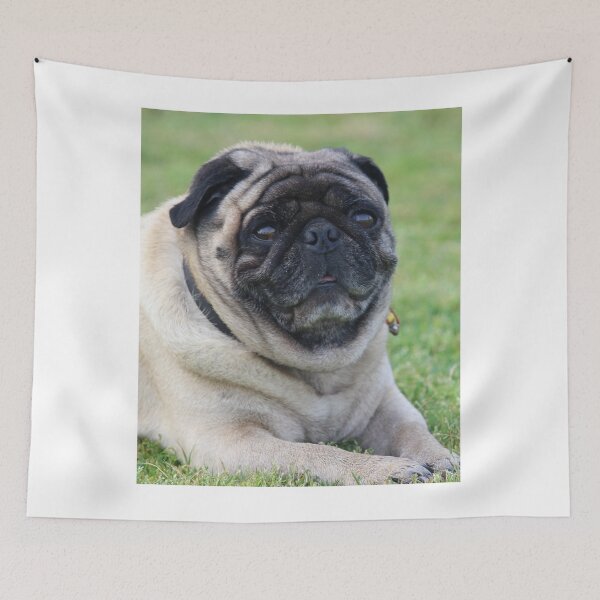 Item preview, Mature Pug Dog Relaxing  designed and sold by VanGaldo.