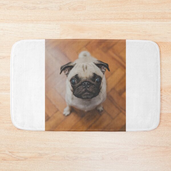 Item preview, Pug Dog Waiting for Food designed and sold by VanGaldo.