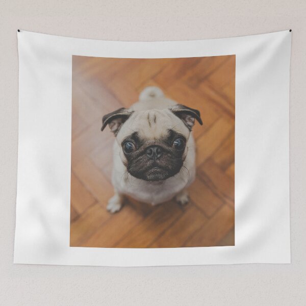 Item preview, Pug Dog Waiting for Food designed and sold by VanGaldo.