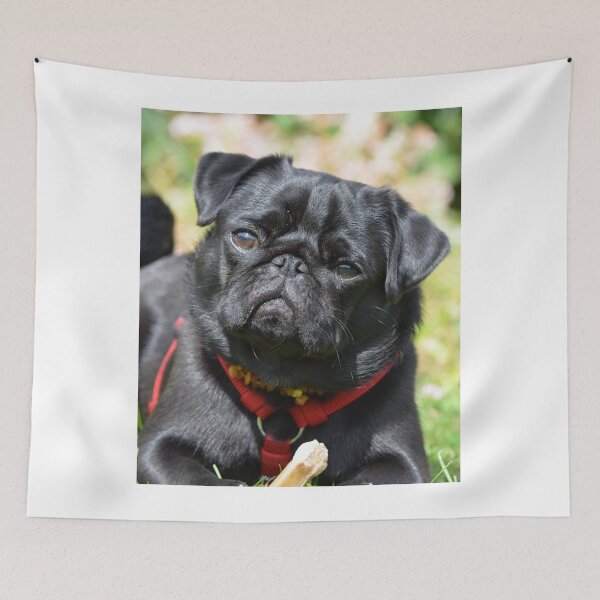 Item preview, Kawaii Black Pug Dog designed and sold by VanGaldo.