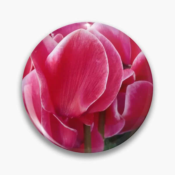 Item preview, CYCLAMEN designed and sold by igeorgia.