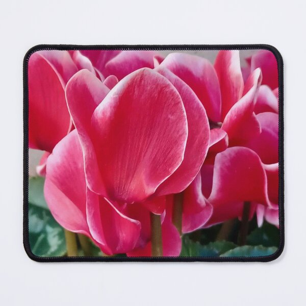 Item preview, CYCLAMEN designed and sold by igeorgia.