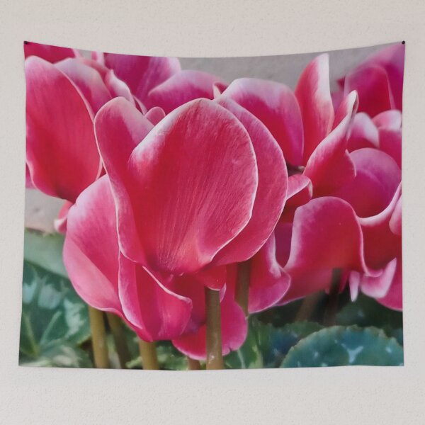 Item preview, CYCLAMEN designed and sold by igeorgia.