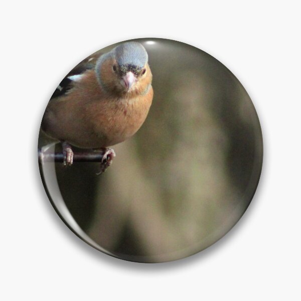 Item preview, chaffinch designed and sold by KathleenDawson.