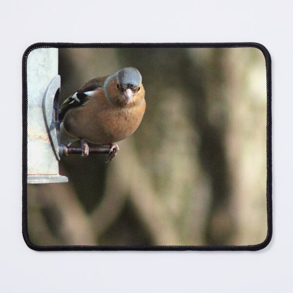 Item preview, chaffinch designed and sold by KathleenDawson.