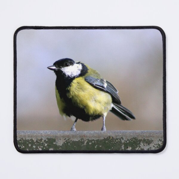 Item preview, great tit designed and sold by KathleenDawson.