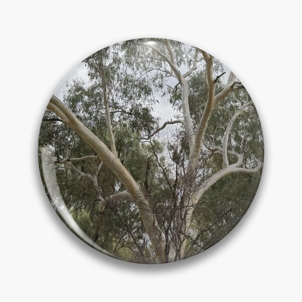Item preview, Ghostly Gum Dances on the Banks of Allan Tannock Weir designed and sold by ComicJo.