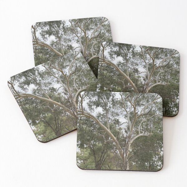 Item preview, Ghostly Gum Dances on the Banks of Allan Tannock Weir designed and sold by ComicJo.
