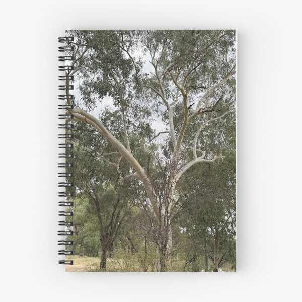 Item preview, Ghostly Gum Dances on the Banks of Allan Tannock Weir designed and sold by ComicJo.