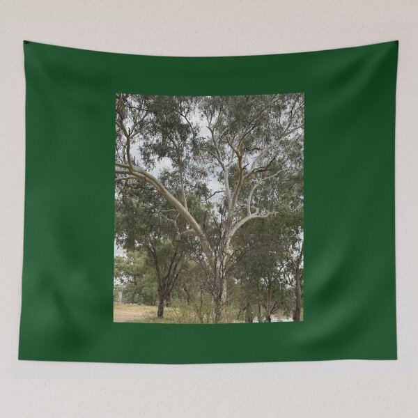 Item preview, Ghostly Gum Dances on the Banks of Allan Tannock Weir designed and sold by ComicJo.