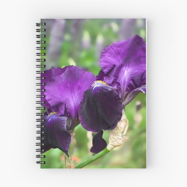 Item preview, Purple Bearded Irises  designed and sold by Alisonchambers2.